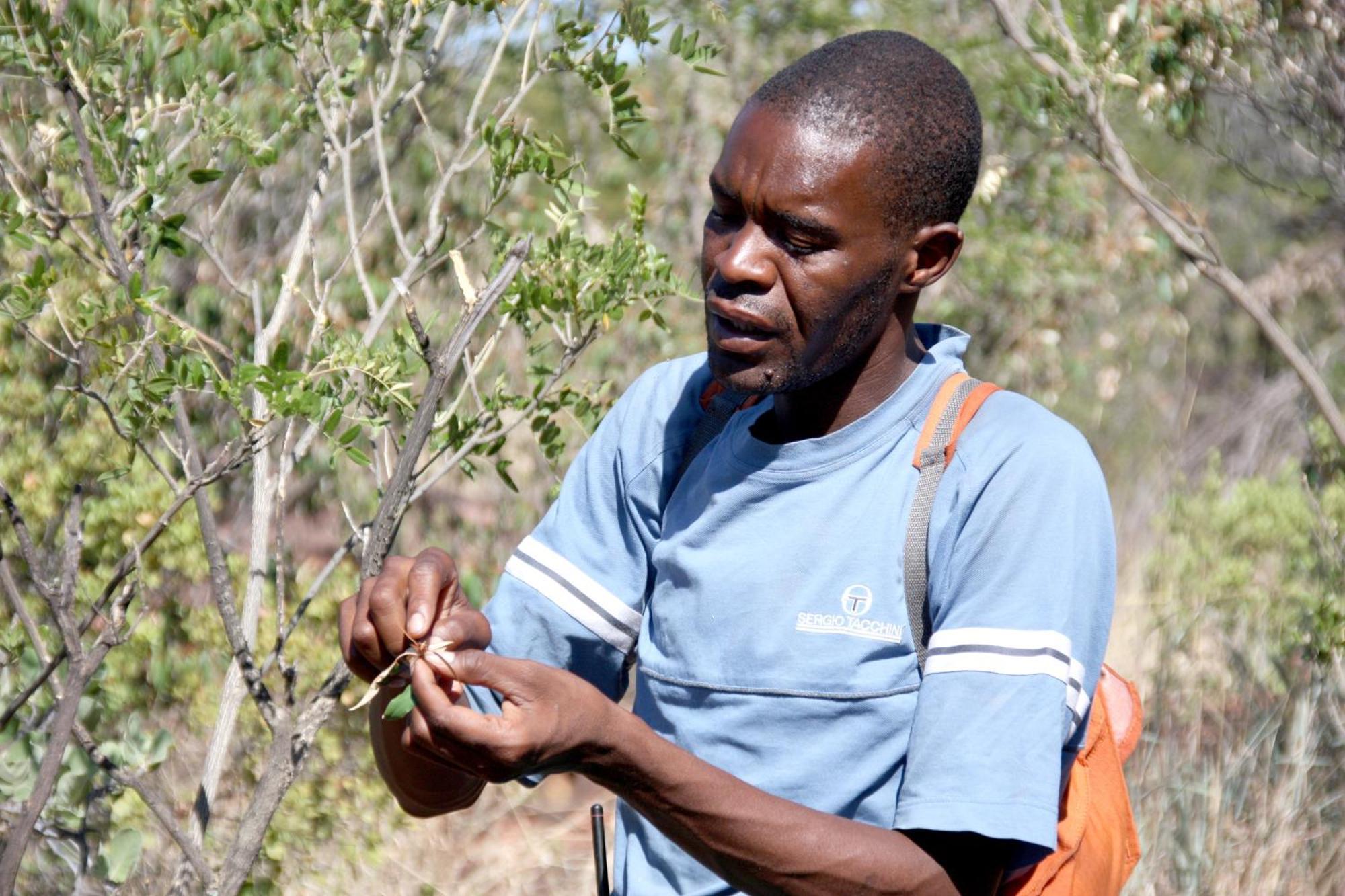 Вилла Waterberg Wilderness - One Namibia Номер фото