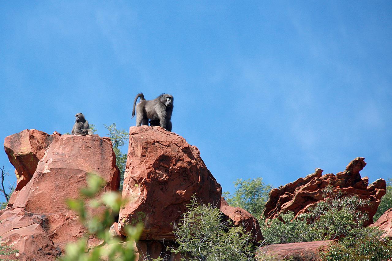 Вилла Waterberg Wilderness - One Namibia Экстерьер фото